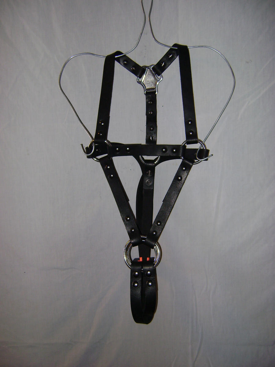 Suspension harness by LeatherQueer on DeviantArt