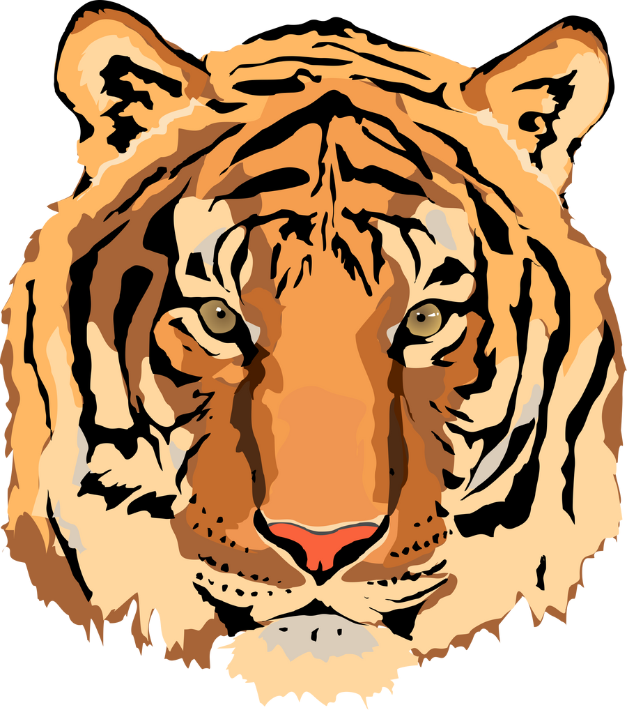 free tiger clipart vector - photo #5