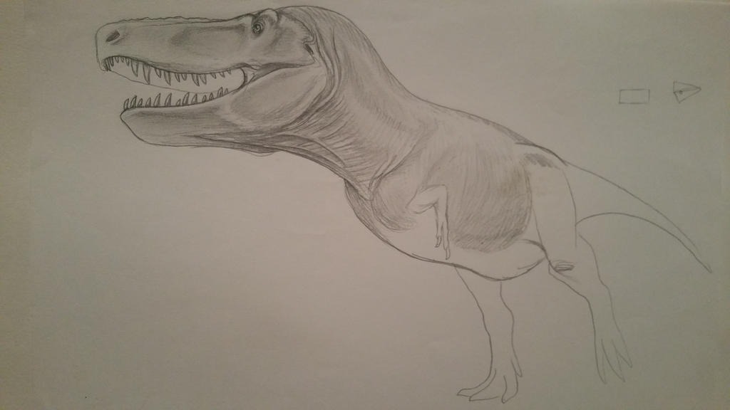 tyrannosaurus_sketch_by_spinosaurus1-d9b