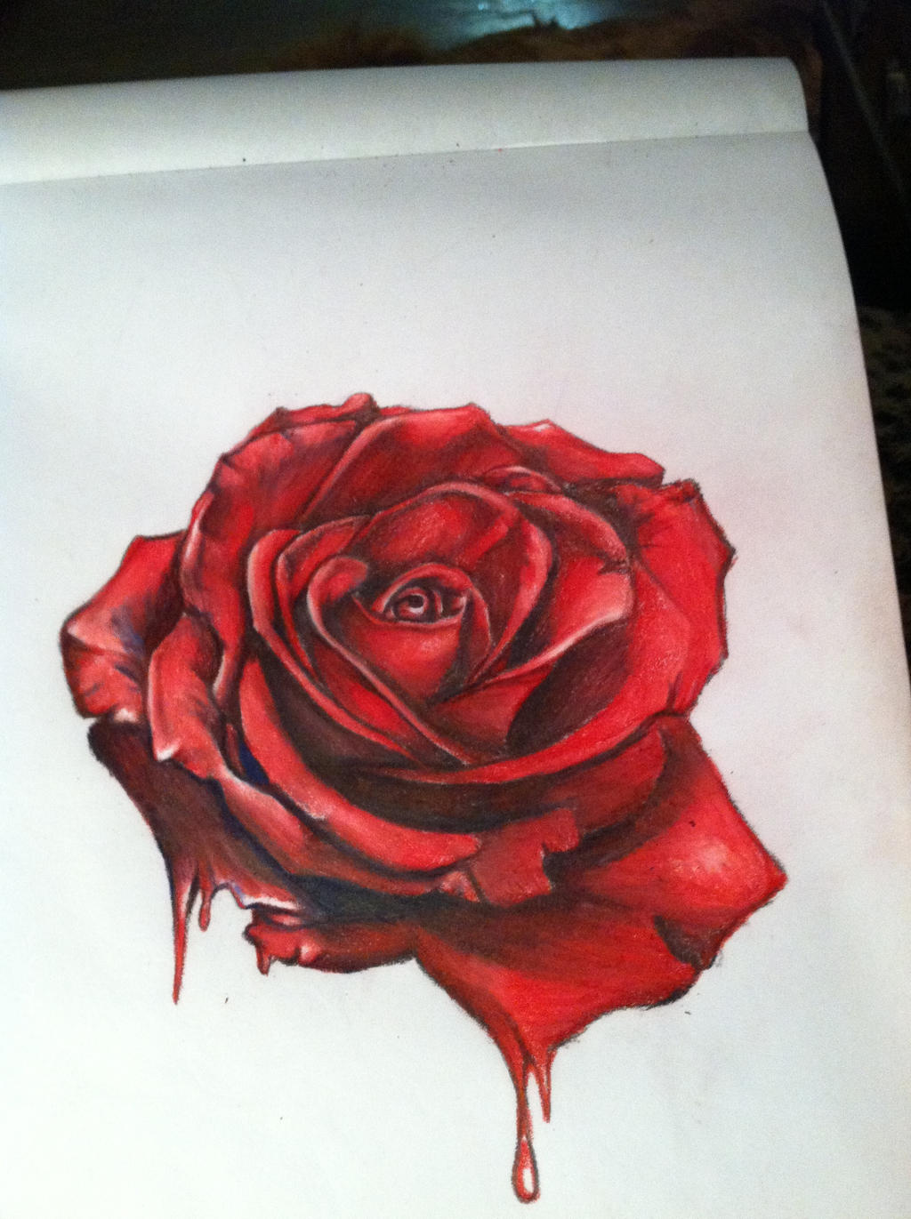 Black And Red Rose Drawing