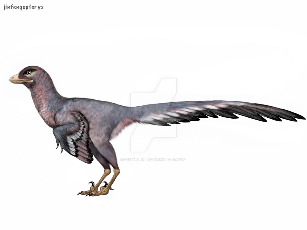 Resultado de imagen de jinfengopteryx