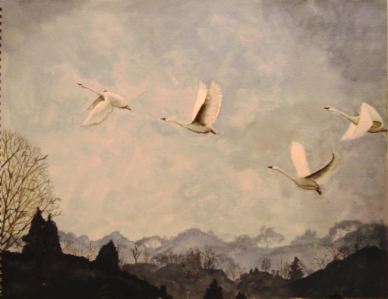 Image result for swans flying
