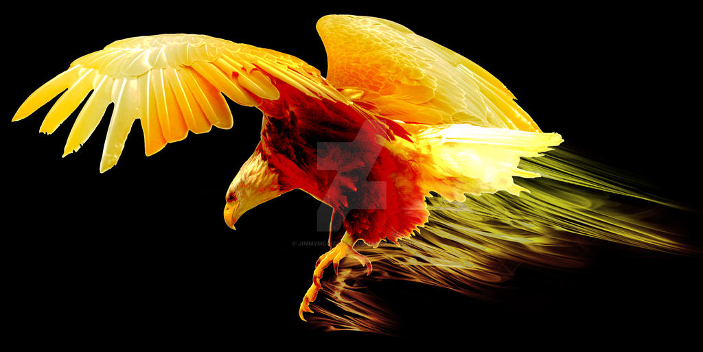 Hình ảnh đại bàng lửa tung cánh lớn nhất Việt Nam và thế