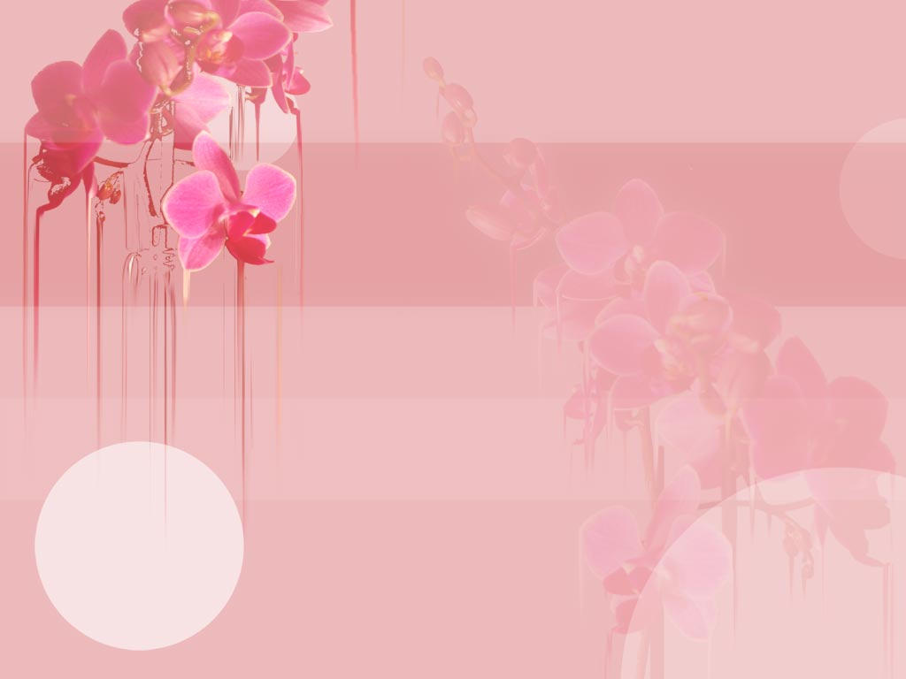 蘭の花 ピンク 壁紙 キュート 女子向け 可愛い ガーリー系なpcデスクトップ壁紙 画像大量 180 Naver まとめ