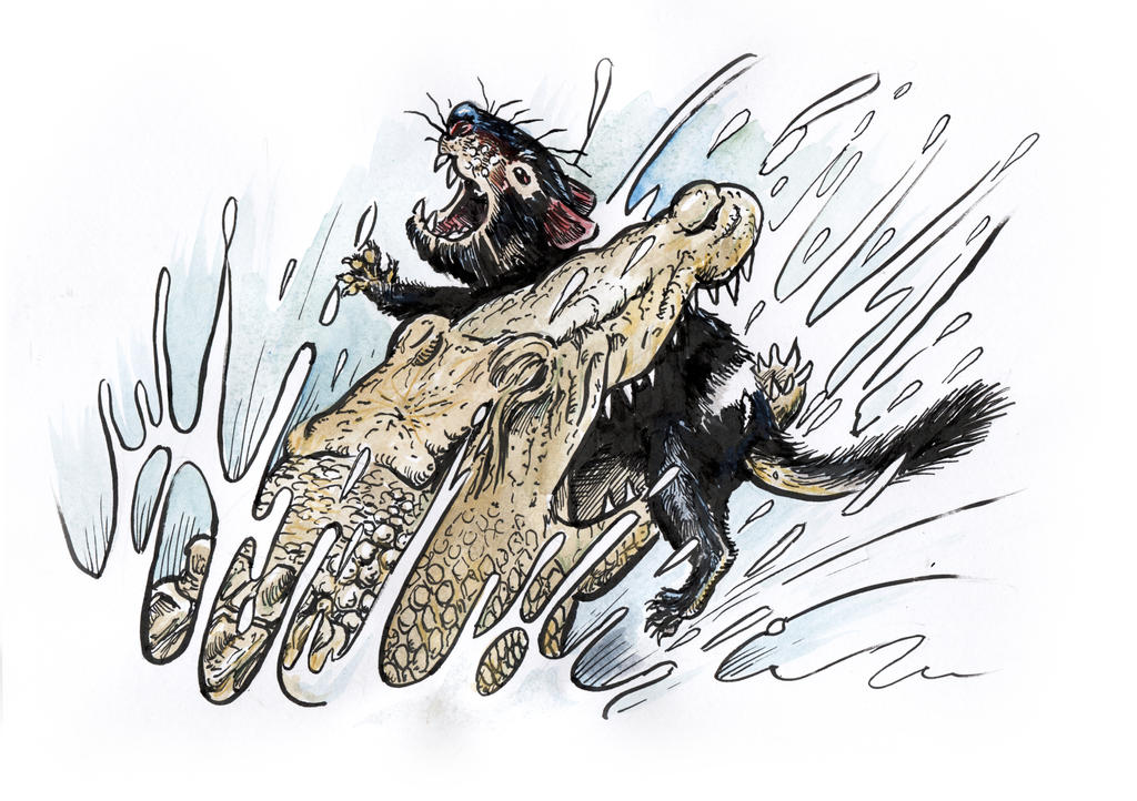 Tasmanian devil V Crocodile by Snake-Artist on DeviantArt