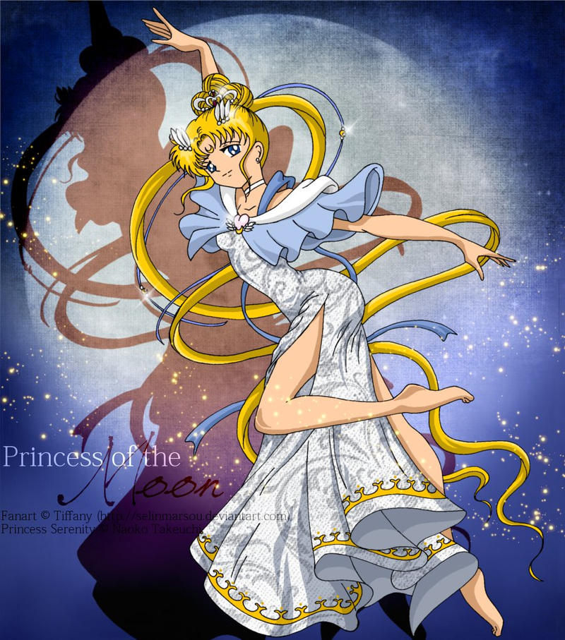 http://img04.deviantart.net/cff5/i/2011/170/0/0/princess_of_the_moon_by_selinmarsou-d3jb3oa.jpg
