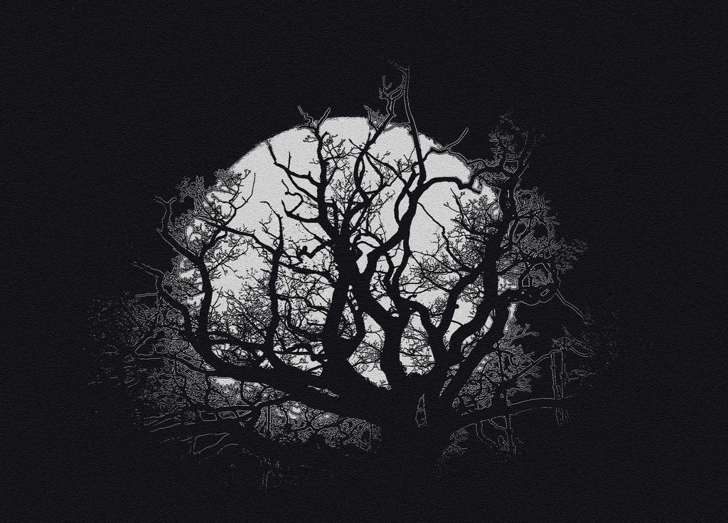 Dark Forest 2 by Eagle-Photography on DeviantArt